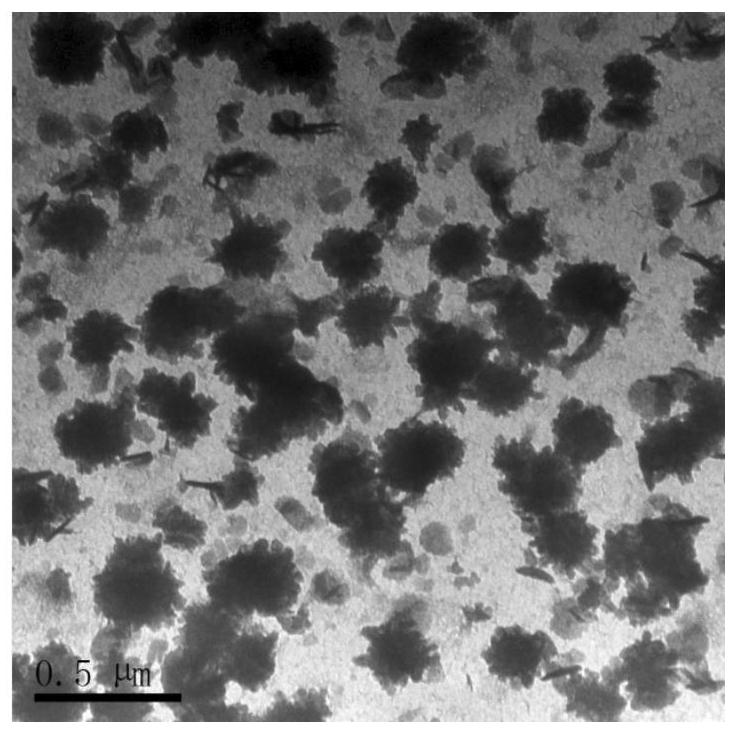 Hypocrellin composite nanoparticle and preparation method thereof