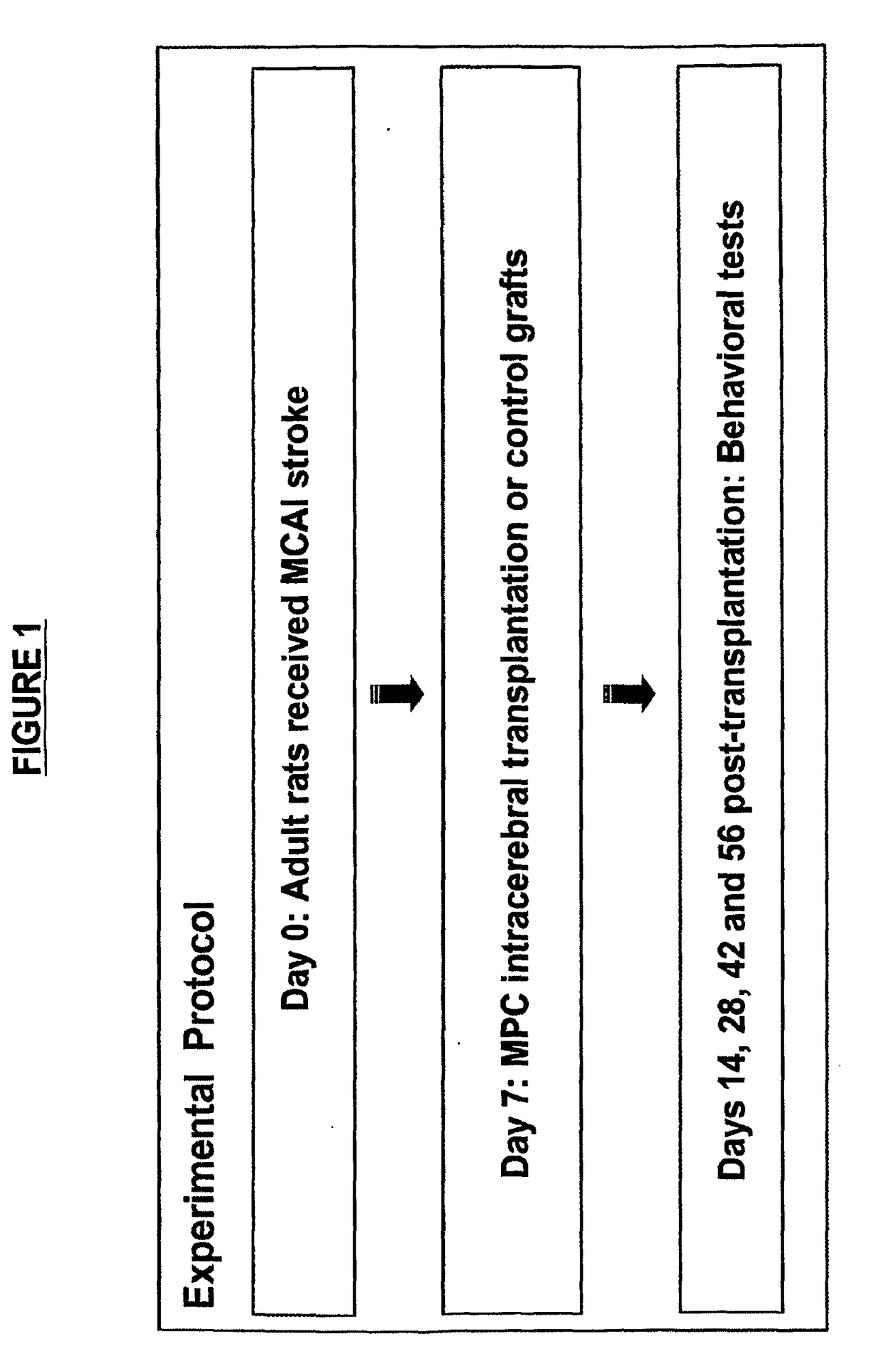 Mapc treatment of brain injuries and diseases