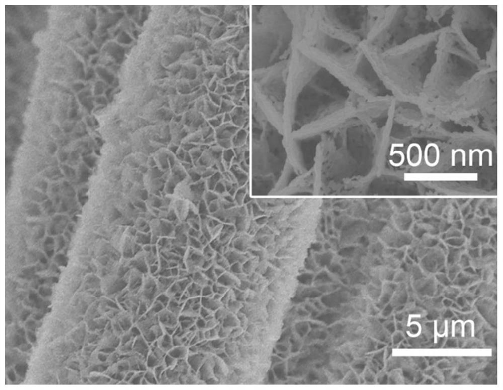 Carbon fiber-loaded magnesium oxide particle crosslinked nanosheet array composite material and its preparation method and application