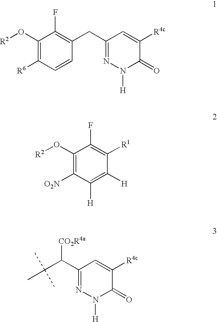 Process for preparing pyridazinone compounds