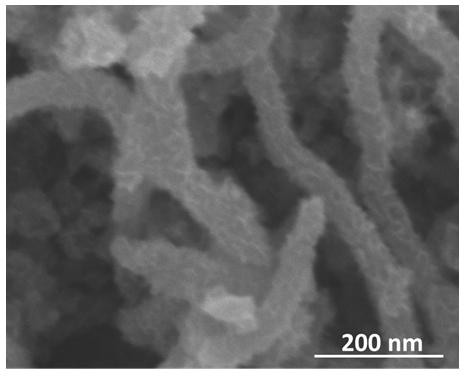 A nitrogen-doped molybdenum disulfide/carbon nanotube composite