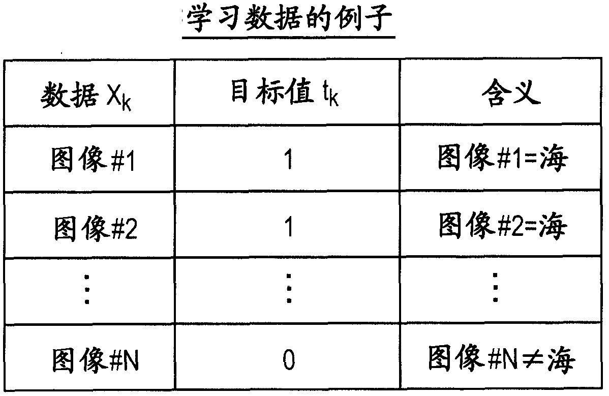 Information processing device, information processing method and program