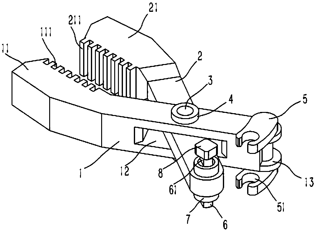 Digestive tract hemostasis clamp of optimized structure