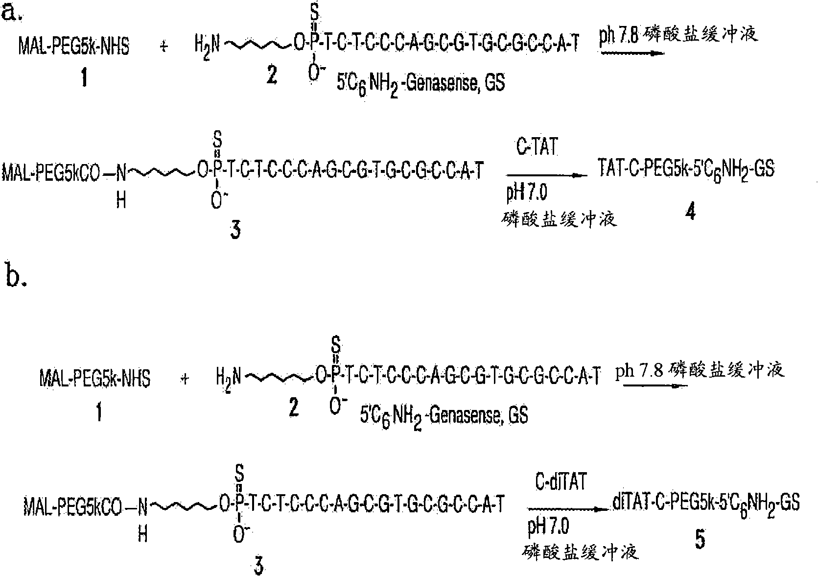 Polymeric conjugates containing positively-charged moieties