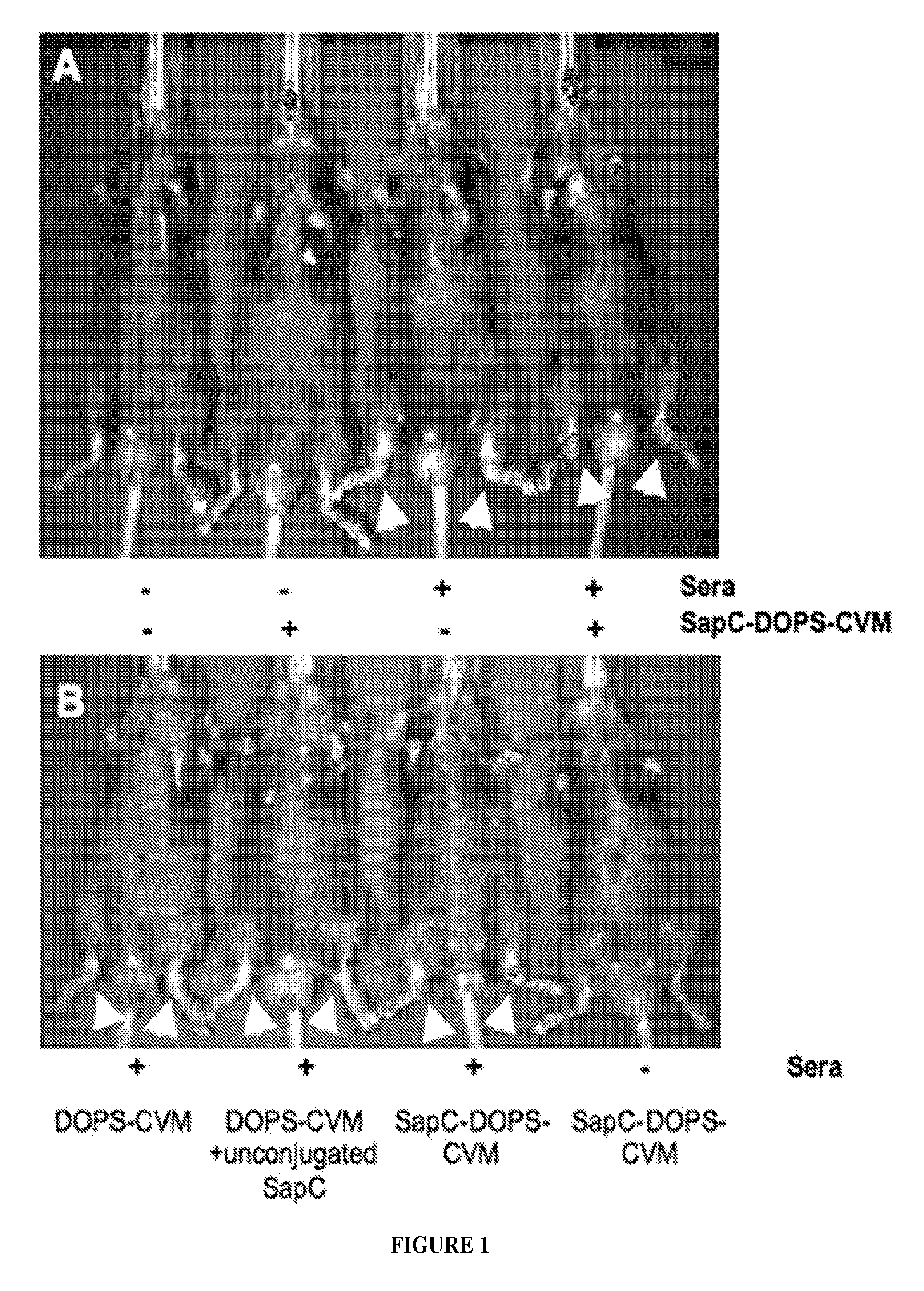 Method for imaging a site of arthritis in an animal