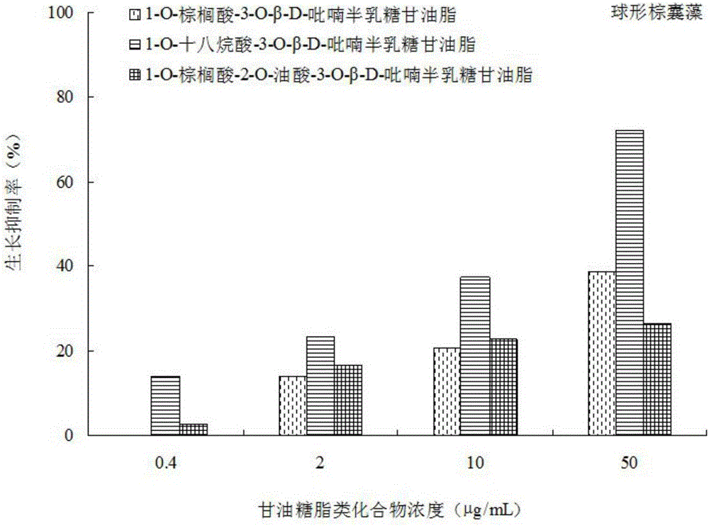 Algal inhibition application of glyceroglycolipid compound and detection method of algal inhibition activity of glyceroglycolipid compound