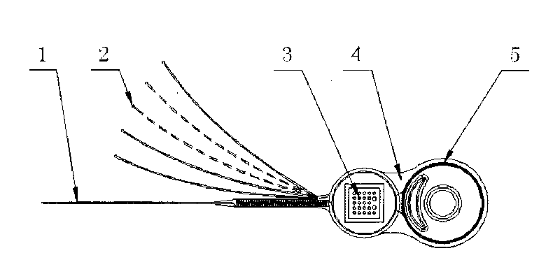 Artificial cochlear implant device adopting multi-point loop electrode outside cochlea