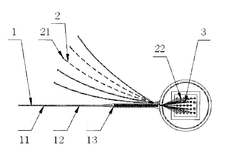 Artificial cochlear implant device adopting multi-point loop electrode outside cochlea