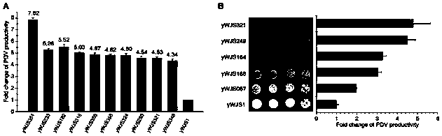 Gene element and application of same to variation of chromosome number, copy number and structure of Saccharomyces cerevisiae