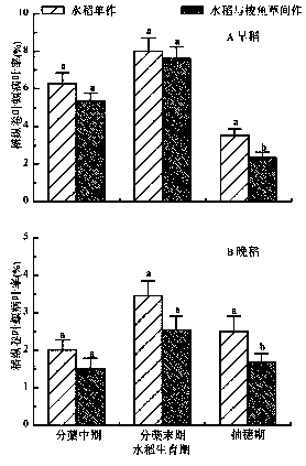 Method for controlling rice sheath blight and rice leaf folder by utilizing intercropping of rice and pontederia cordata