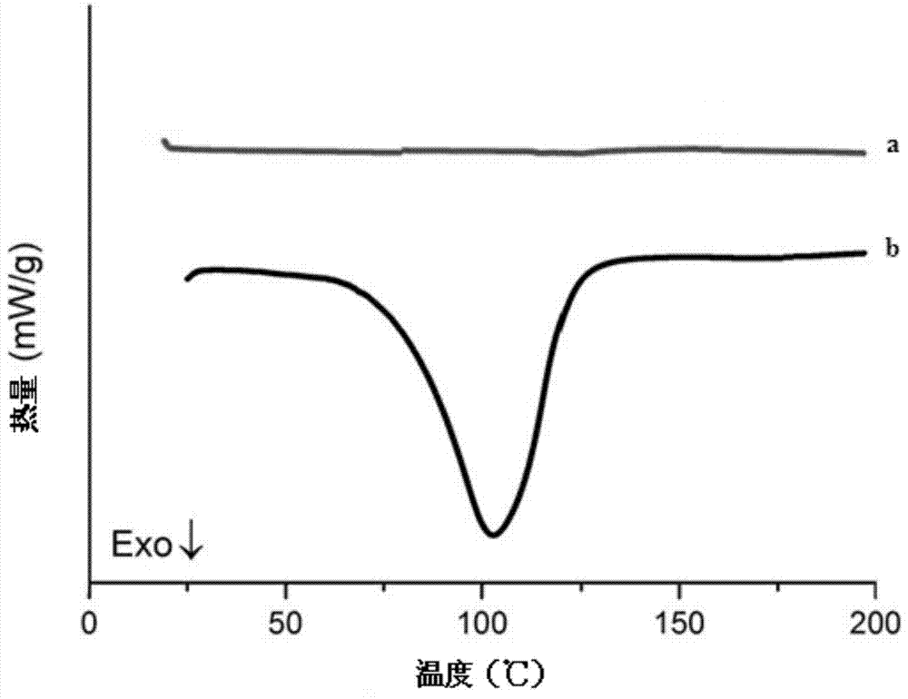 Waterproof-level soy protein adhesive and preparation method thereof