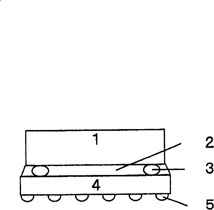 Porous membrane of poly(metaphenylene isophthalamide) and process for producing the same