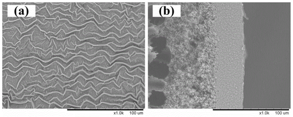 A kind of synthetic method of metal-organic framework membrane