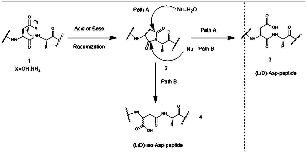 Solid-phase fragment method for bivalirudin synthesis