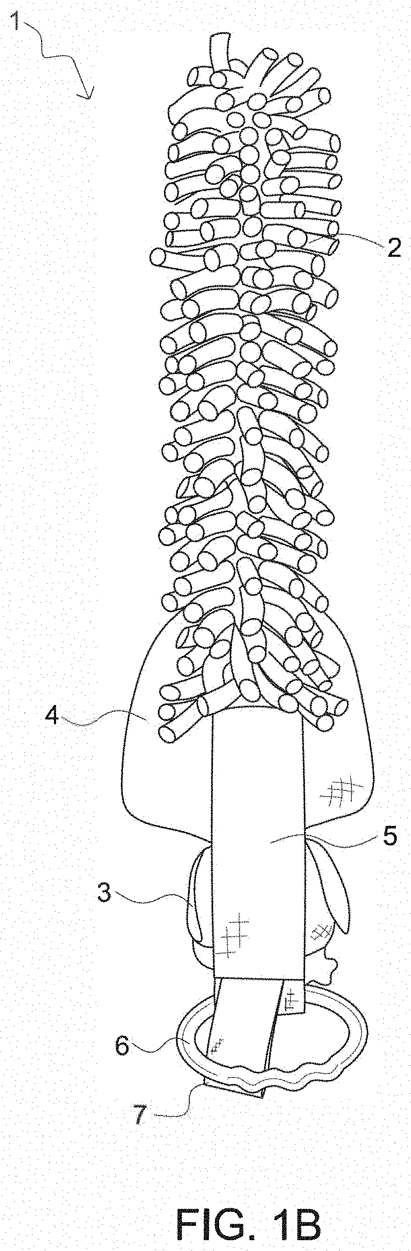 Parent-infant-interactive, sensory-stimulation toy and methods of use