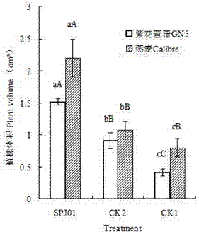 Nitrogen fixing and phosphate solubilizing growth-promoting bacteria for desert plants and microbial agent and application thereof