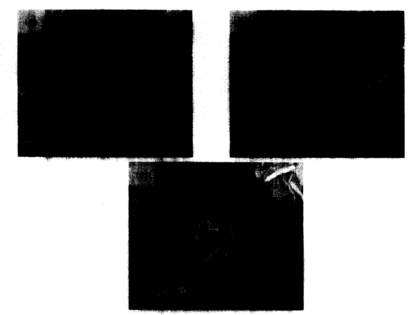 Sheet natrium/lithium-manganese material having high specific surface area and preparation method thereof