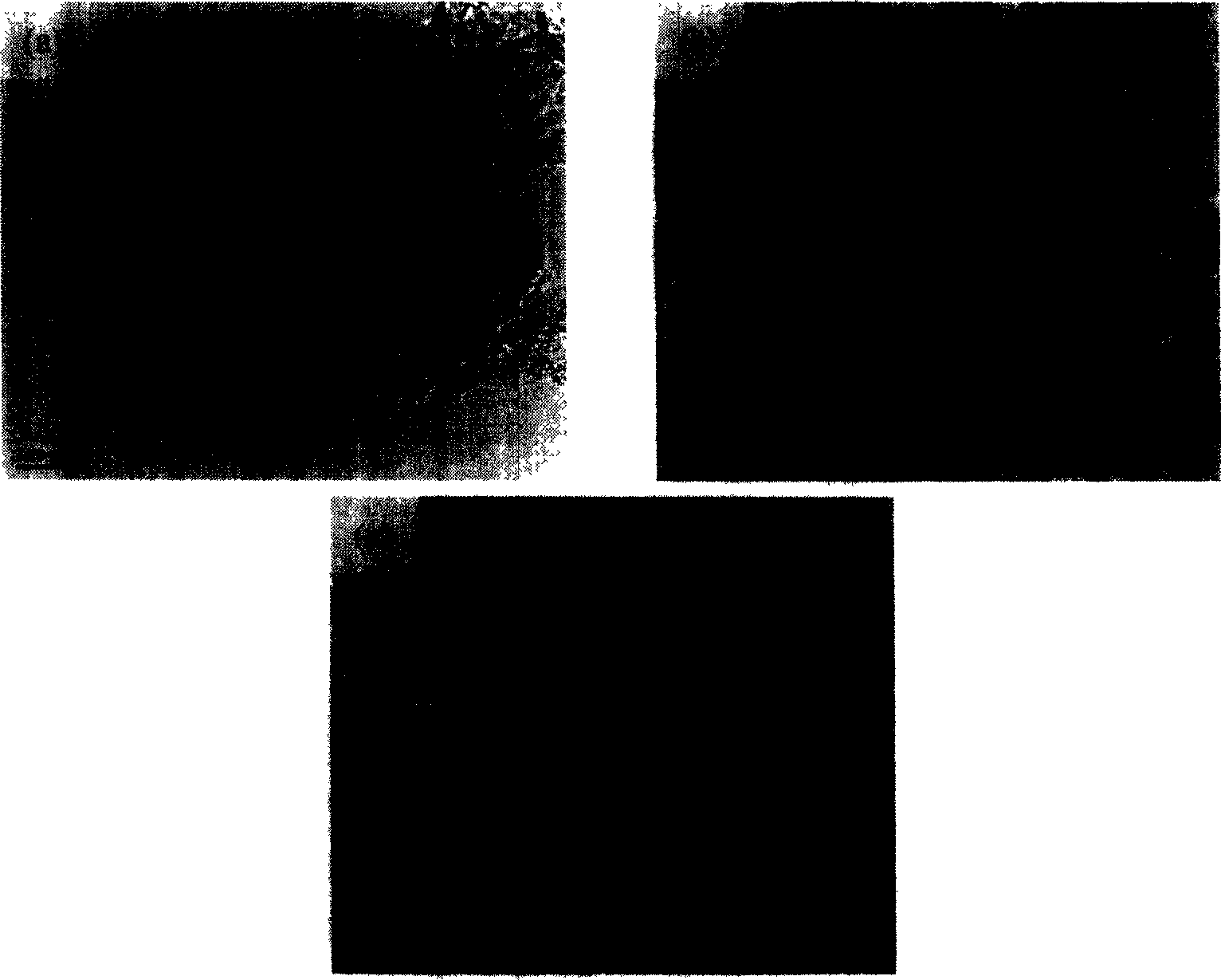 Sheet natrium/lithium-manganese material having high specific surface area and preparation method thereof