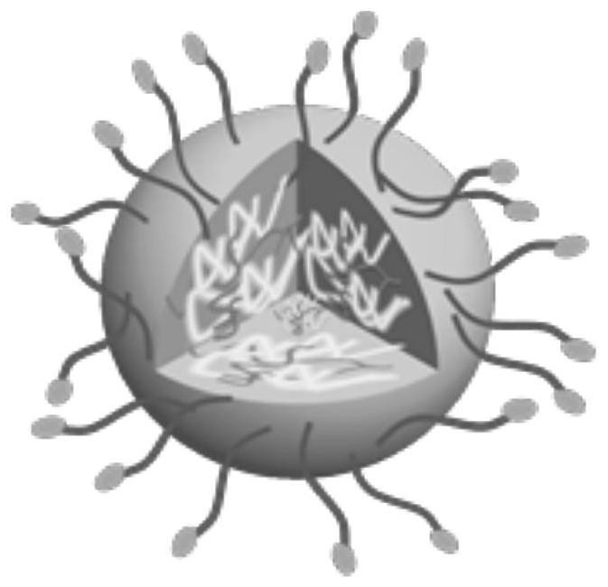 A nanoparticle co-doped with a conjugated polymer and an aggregation-induced light-emitting small molecule, its preparation method and application