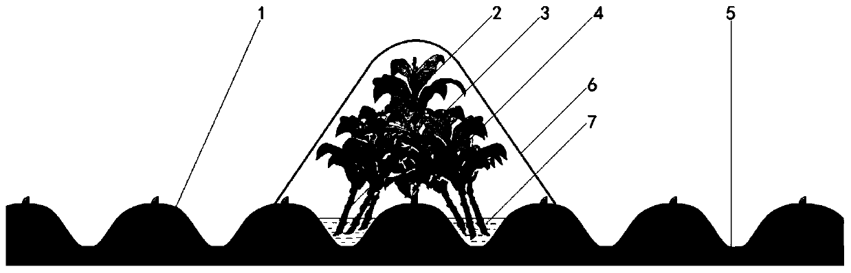 Method for preparing water-cured ripe tobacco leaves in shading environment