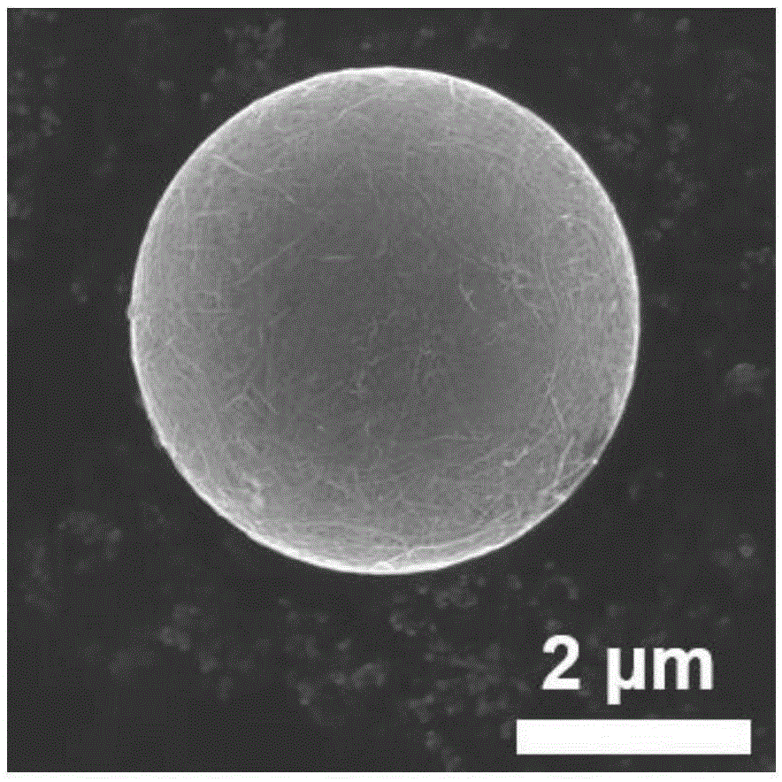 Method for coating polymeric microsphere with carbon nano tube