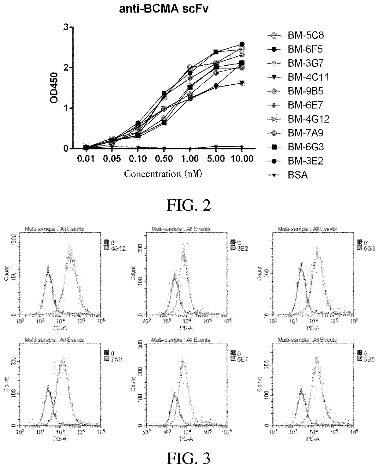 Bispecific chimeric antigen receptors and their application in the treatment of tumor