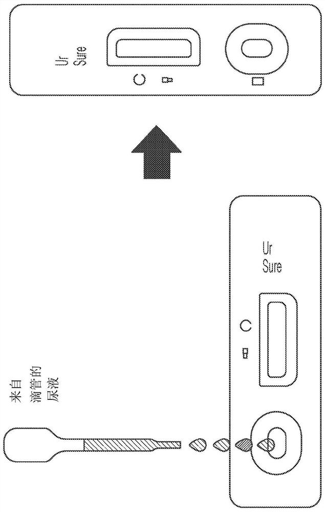 System and method for detecting therapeutic agents to monitor adherence to treatment regimen