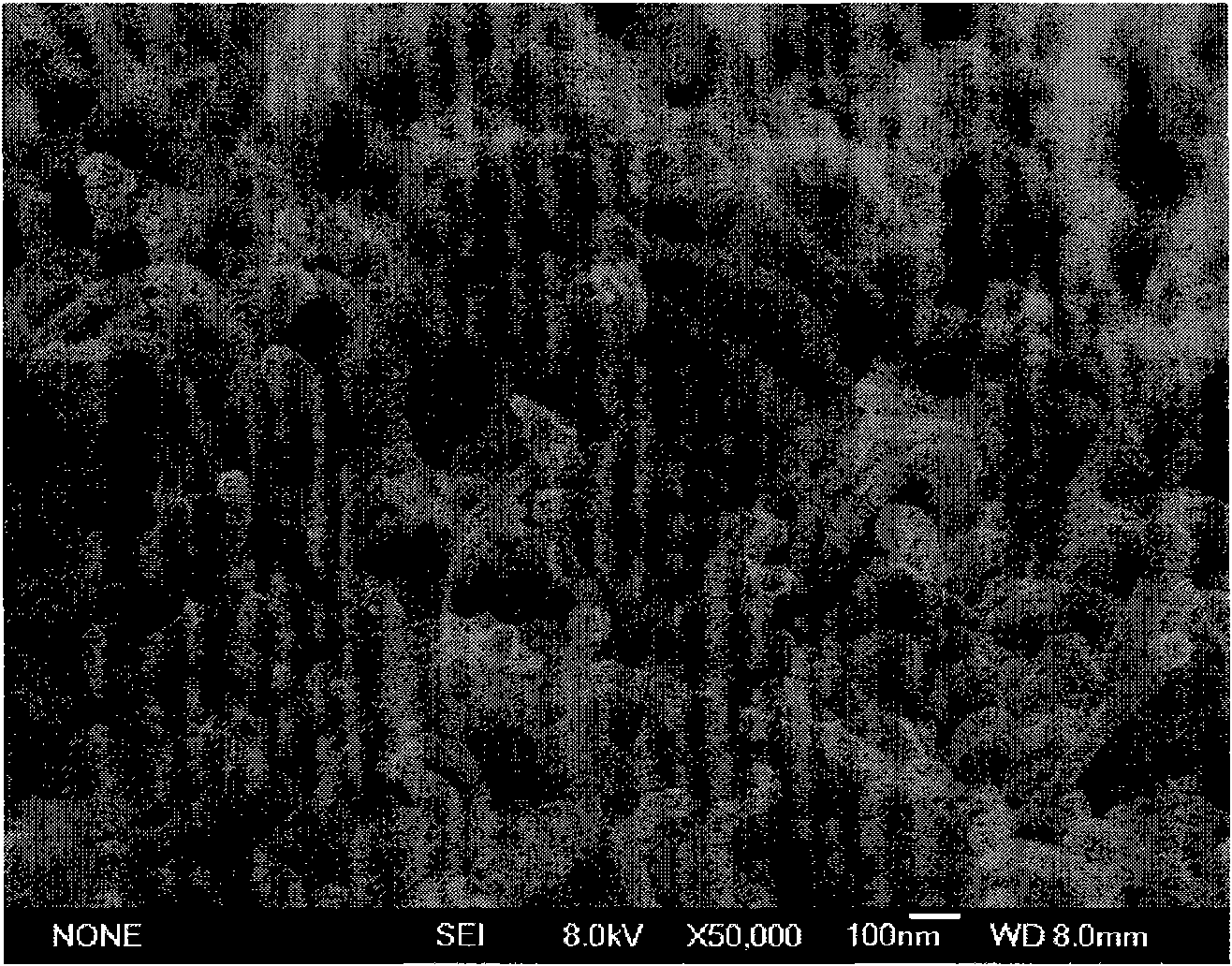 Method for preparing gamma-Fe2O3 nanometer wire filling carbon nitrogen multi-wall nanometer tubes through one-step reaction