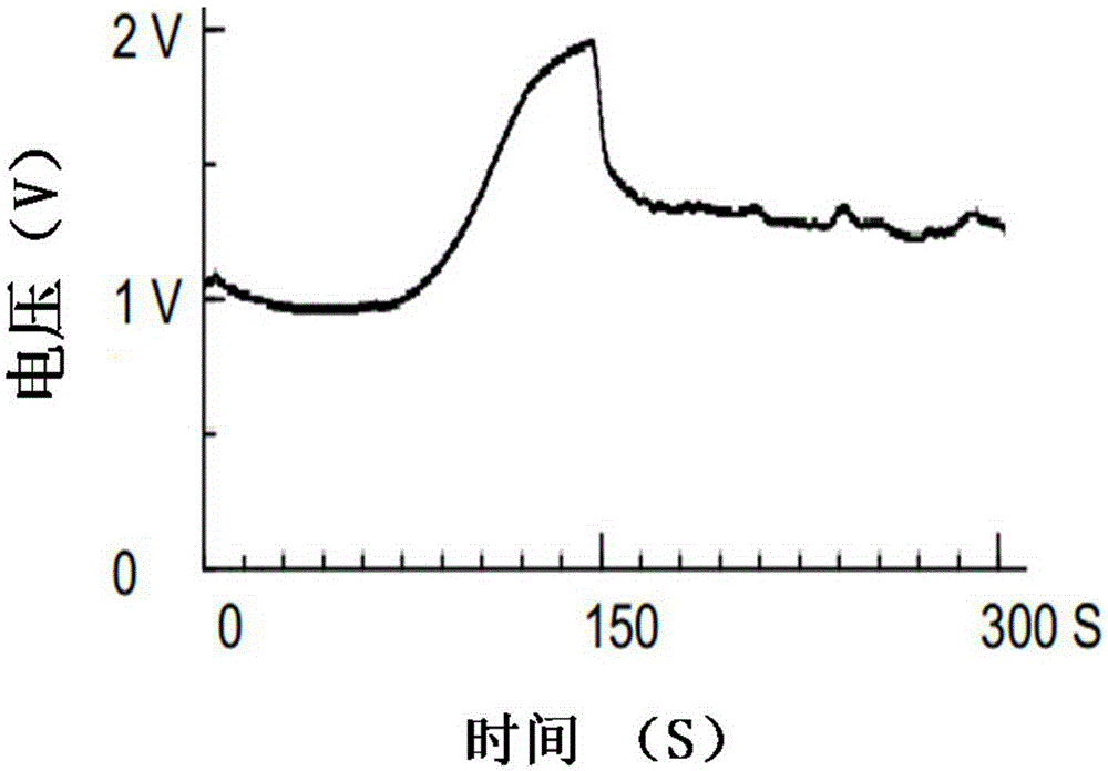 Preparation of Nano-SnO2 Loaded Polyα-Naphthylamine Nanotube Gas Sensing Materials