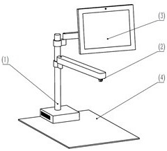 Bidirectional sampling device for sampling samples