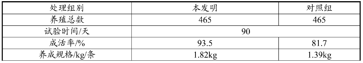 Carp feed and preparation method thereof