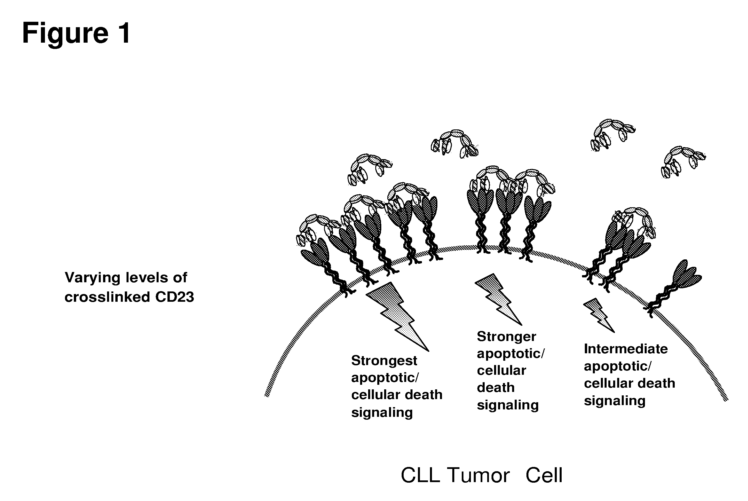 Cd23 binding molecules and methods of use thereof