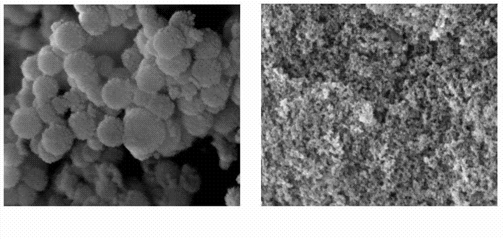 Alkyl modified chitosan/mesoporous silicon dioxide composite quick hemostatic powder and preparation method thereof