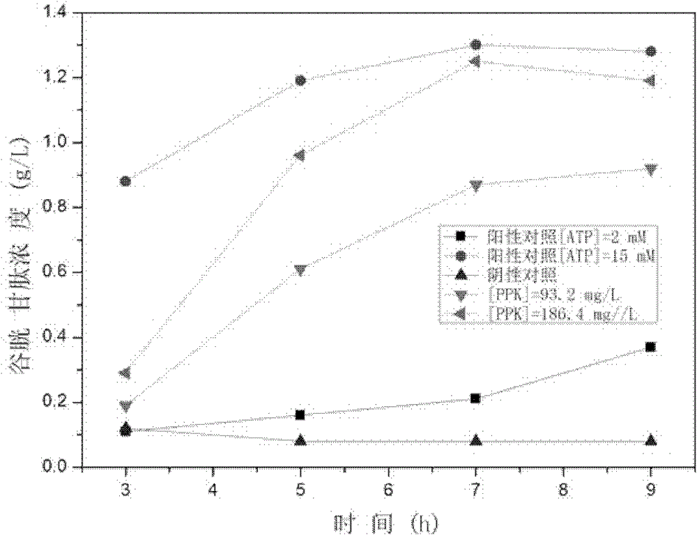 Method for synthesis of glutathione in vitro