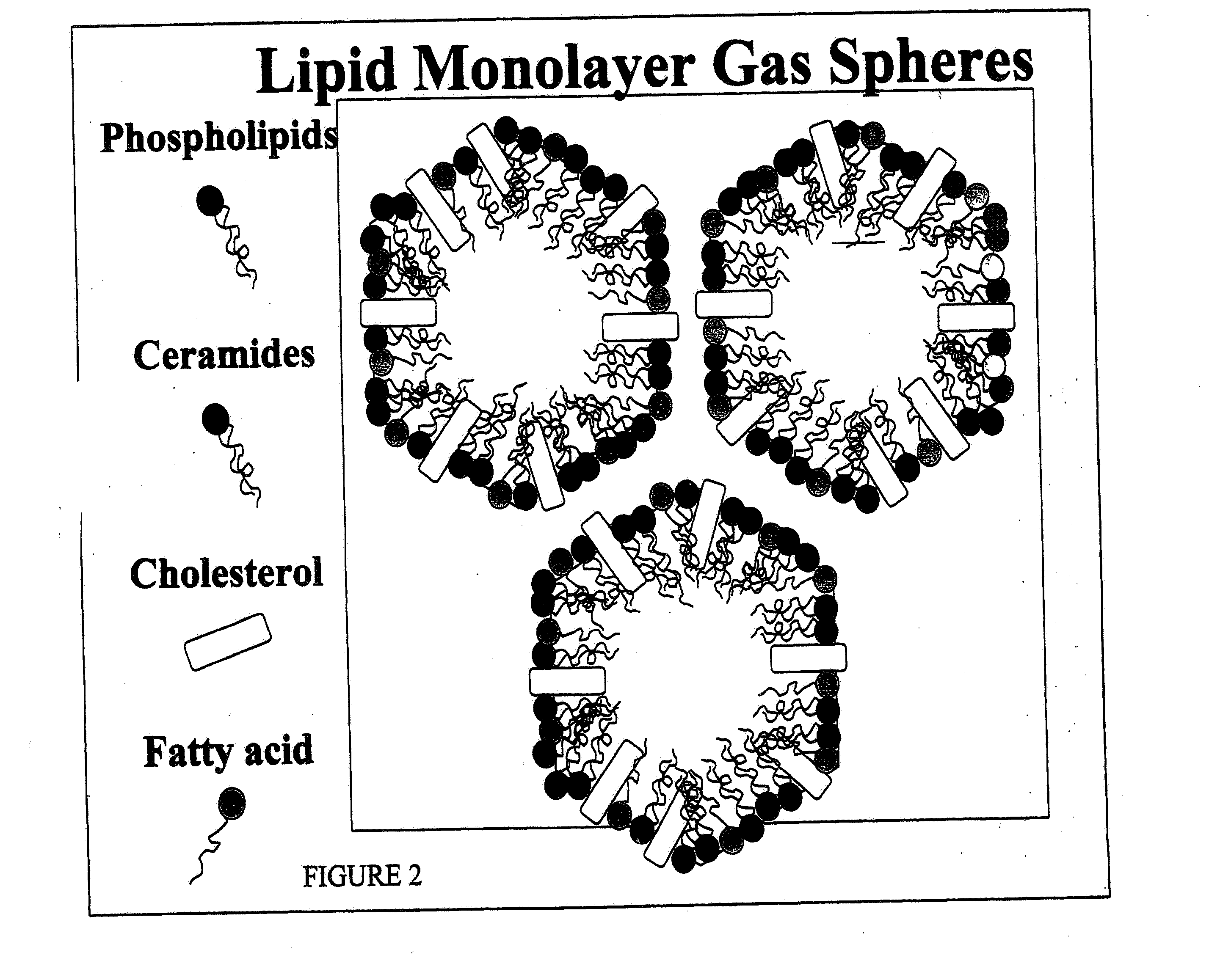 Water-based delivery systems