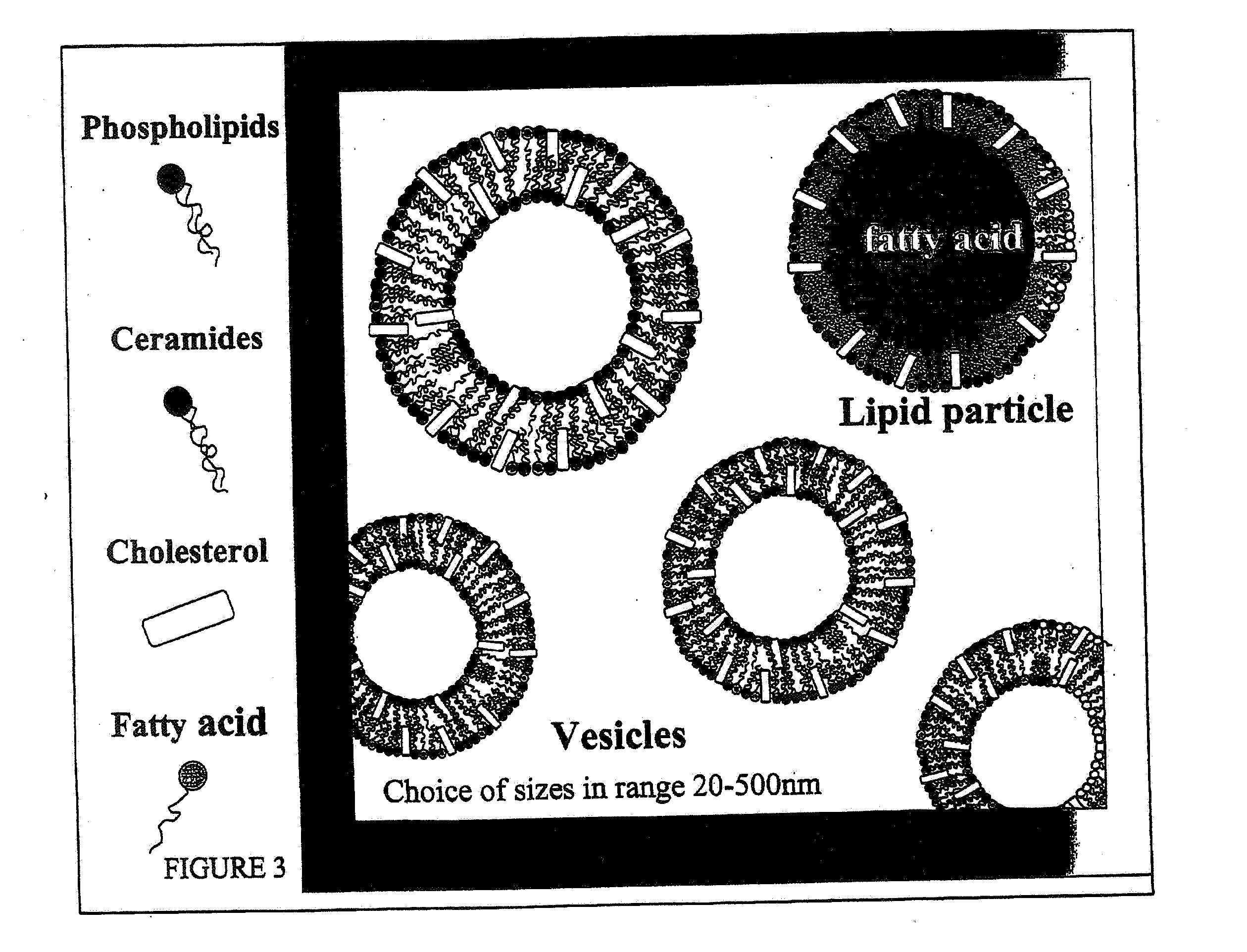 Water-based delivery systems