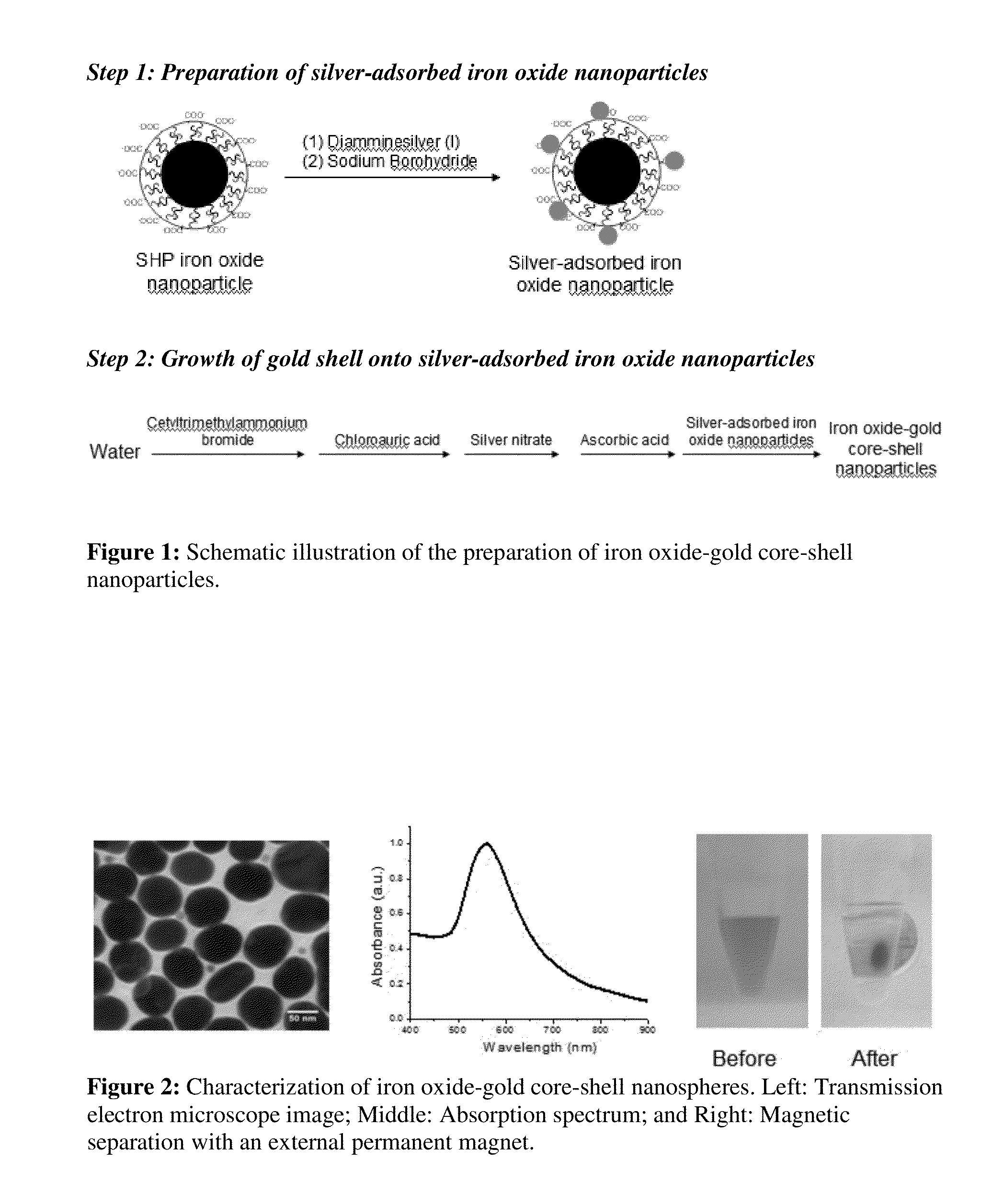 Iron oxide-gold core-shell nanoparticles and uses thereof