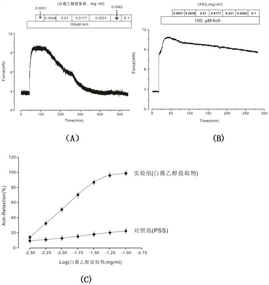 Application of Baiwei extract in preparation of medicine for relaxing airway smooth muscle