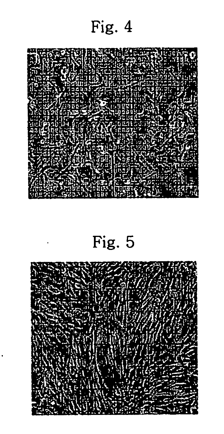 Method of isolating and culturing mesenchymal stem cell derived from umbilical cord blood
