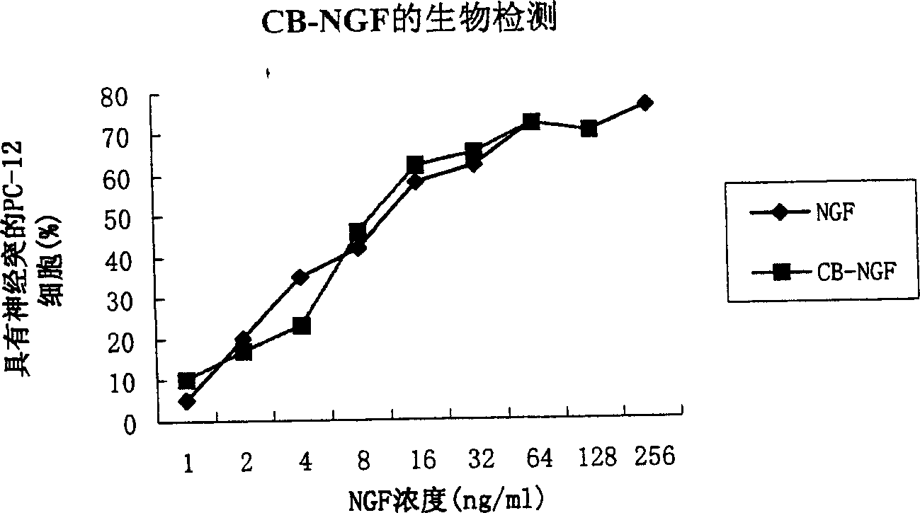 Coupling agent of CB and specific immune globulin IgG and use thereof