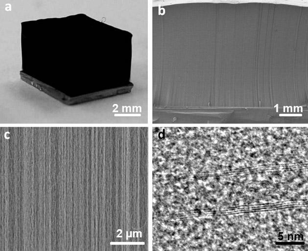 Preparation method of oriented carbon nano tube/ polymer composite membrane