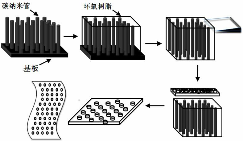 Preparation method of oriented carbon nano tube/ polymer composite membrane