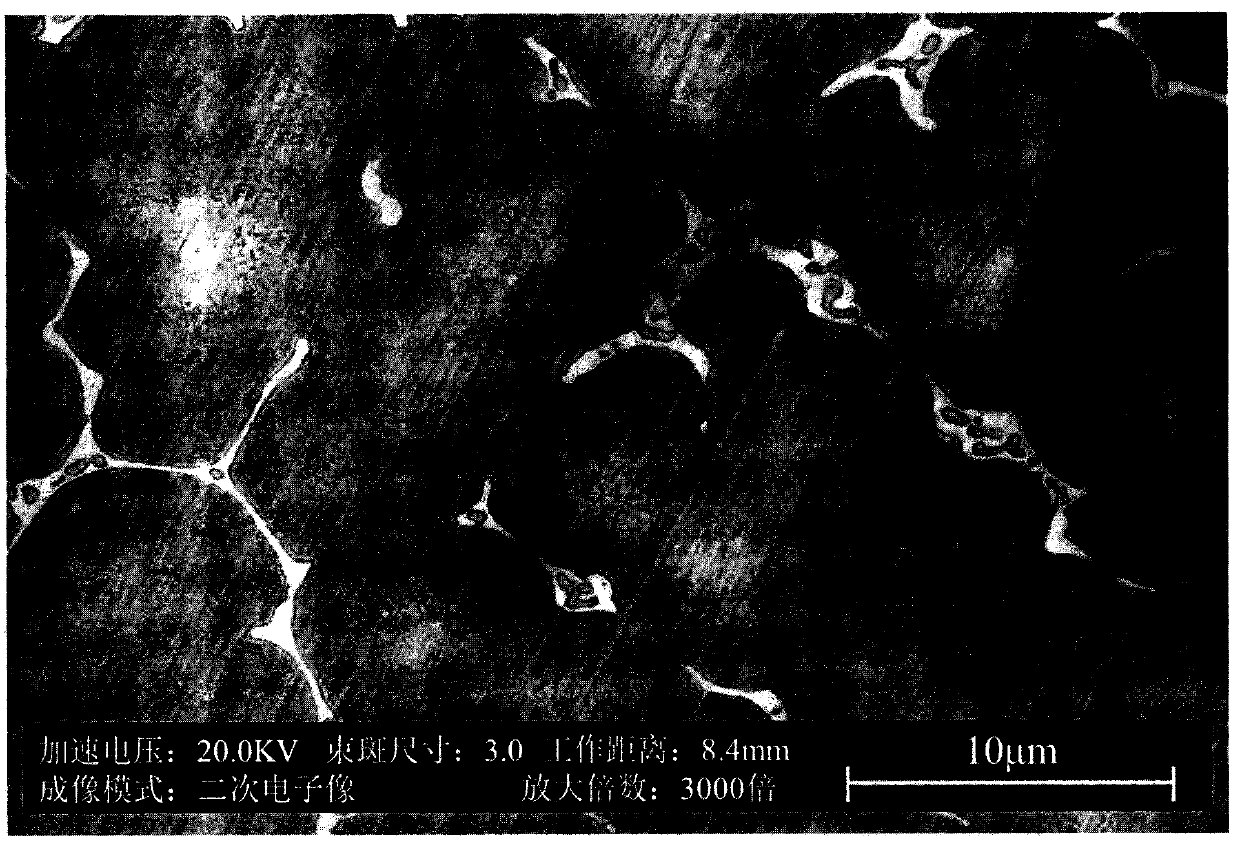 Low-fatigue magnetic memory alloy and preparation method thereof