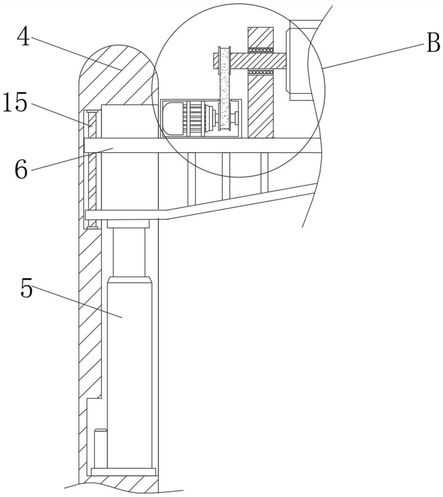 Feeding mechanism for Chinese cabbage cutting