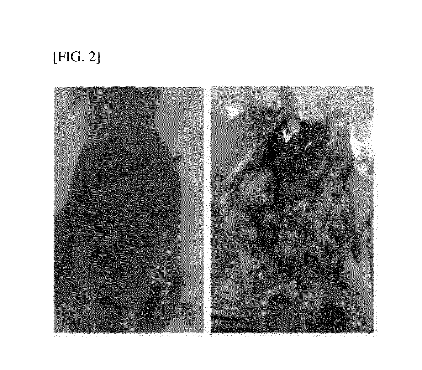 Composition for diagnosing ovarian cancer metastasis by using cpg methylation in gene, and use thereof