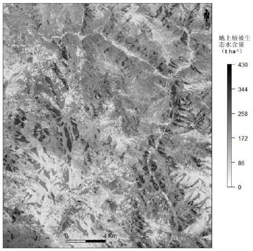 Quantitative inversion method of aboveground vegetation ecological water based on remote sensing technology