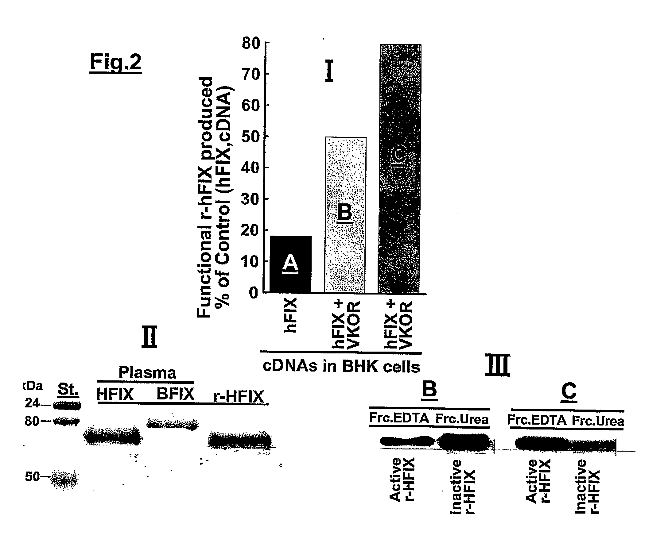 Compositions and Methods for Increasing Production of Recombinant Gamma-Carboxylated Proteins