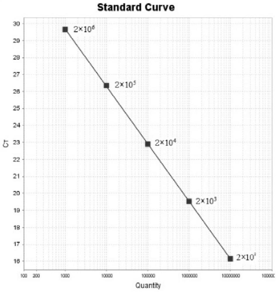 Fluorescent quantitative PCR detection method and kit for porcine circovirus type II