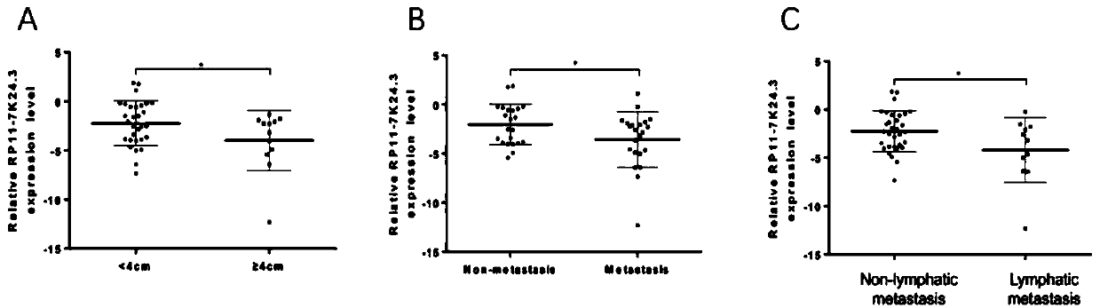 Long non-coding RNA (ribonucleic acid) and application thereof in diagnosing/treating cervical cancer