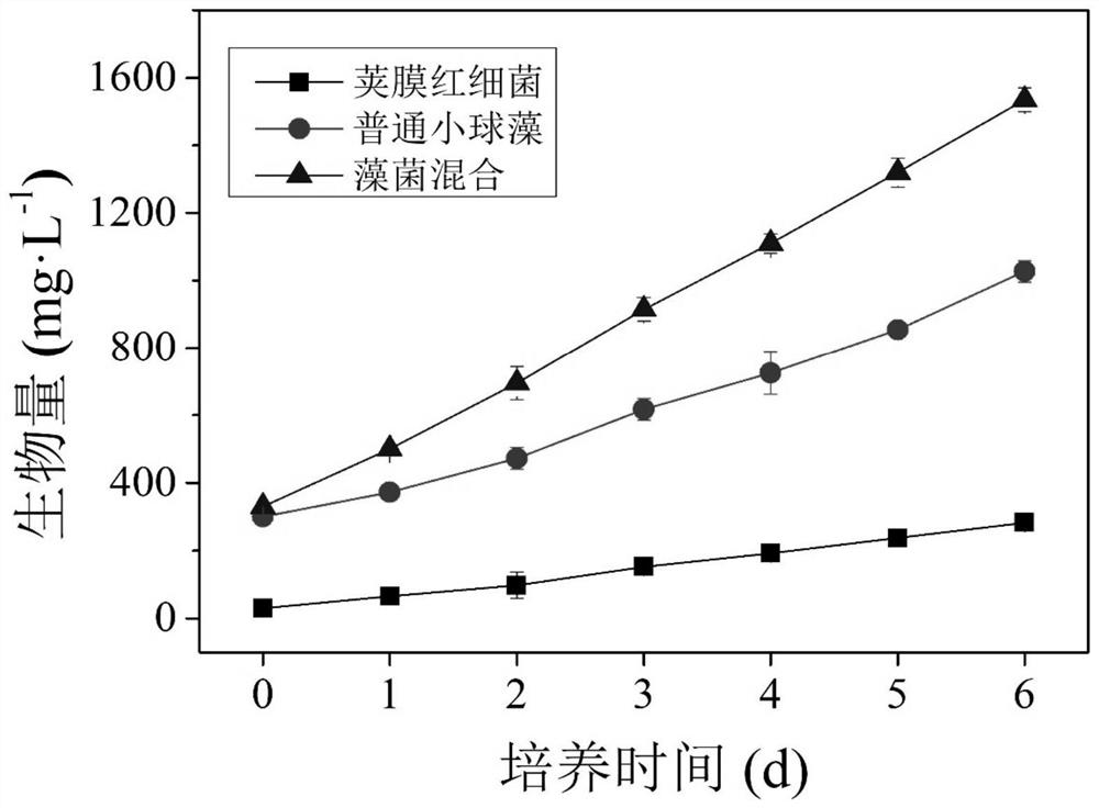 Method for improving oil yield of microalgae in photoheterotrophic system